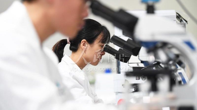 无创产前基因检测报告单：揭秘其背后的科学奥秘