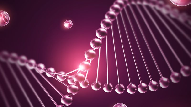 生物药CDMO哪家靠谱