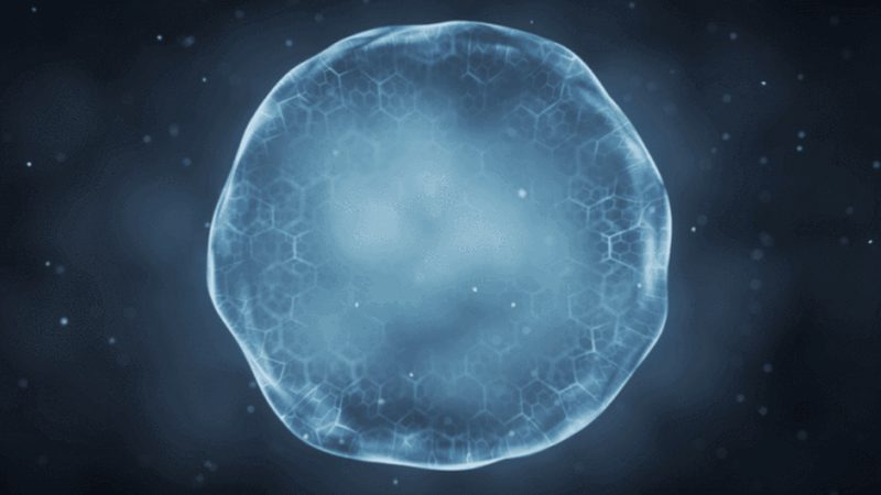 生物科技代理之路：哪些手续不可或缺？**