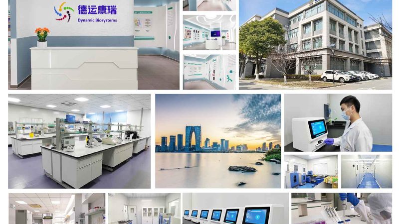 无血清培养基：价格之外，你还需要了解这些**