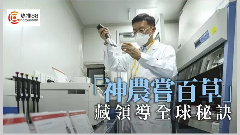 CDMO定制研发：助力企业加速新药研发进程