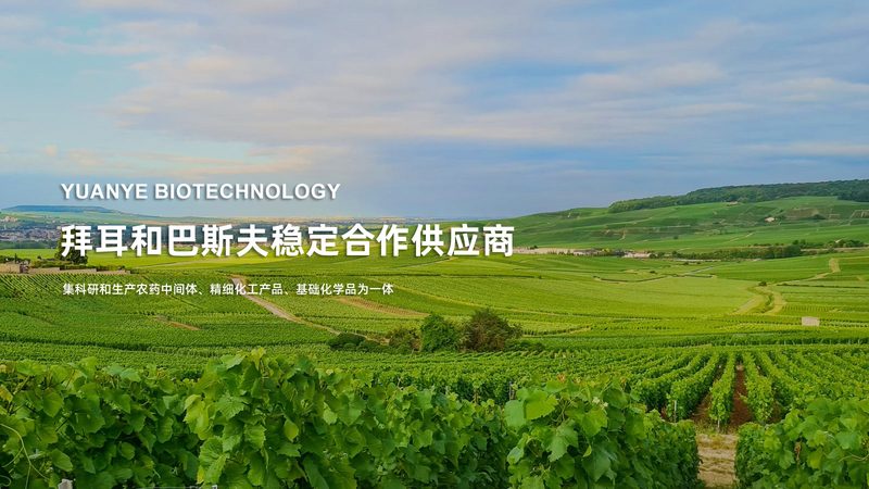 广州生物科技原料市场：从分散到集中的行业变局