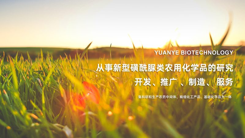 细胞培养基：广州实验室的精准选择指南**