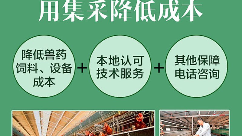 CRO优化培训线上课程：提升医药研发效率的关键