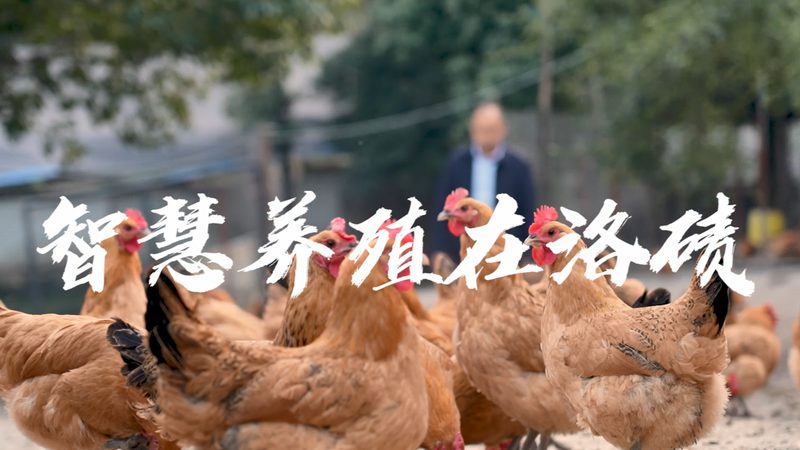 生物科技试剂：如何选择可靠的直销代理？**