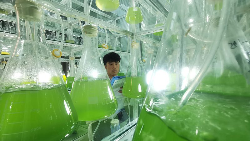 北京无创产前基因检测：技术成熟下的选择逻辑